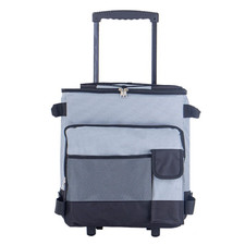 43L Cool Bag Box Portable