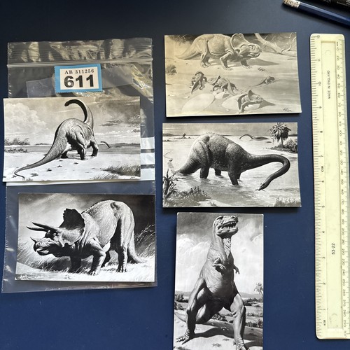 Np611 dinosaur collectables - np611,