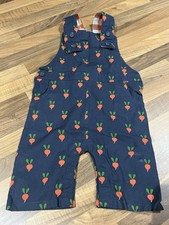 Little Green Radicals Radish