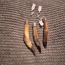 Taxidermy Muntjac Foot