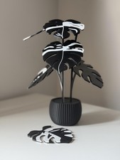 Monstera Plant Leaf Coaster