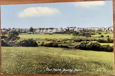 BURRY PORT THE PARK C1960