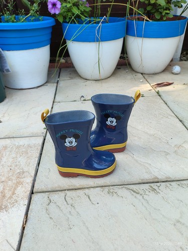 Wellington boots mickey - wellington, mouse