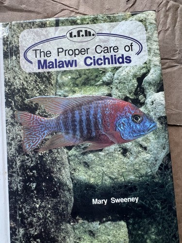 Proper care malawi cichlids - of,