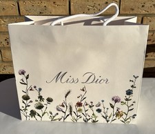 Dior floral gift clutch paper bag (medium)