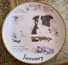 Lovely Danbury Mint Border Collie Plate JANUARY