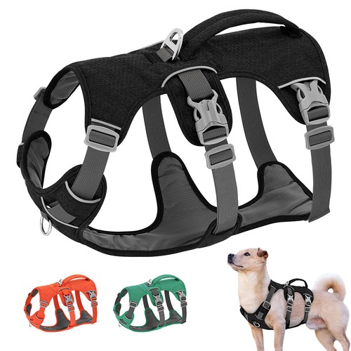 Escape proof dog harness - proof,