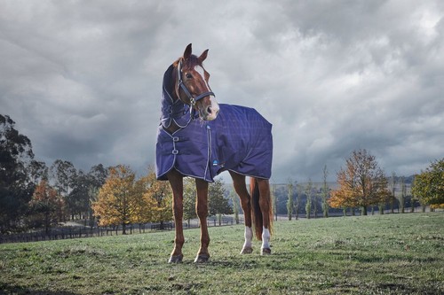 Weatherbeeta comfitec prelim - weatherbeeta,