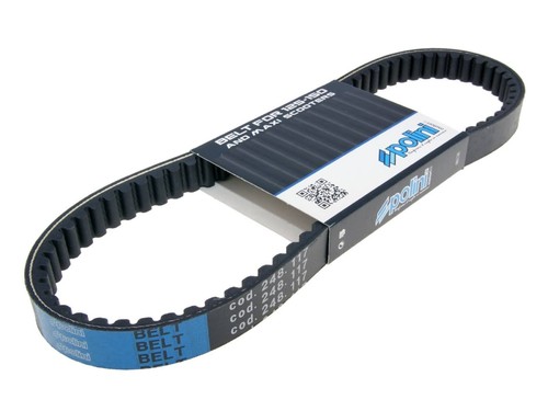 Drive belt polini maxi - drive,