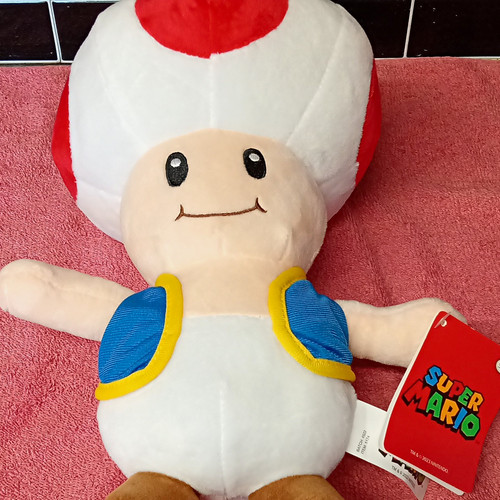 Nintendo super mario bros toad - bros,