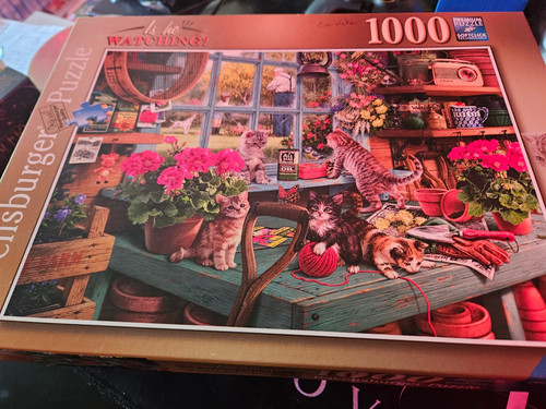 Ravensburger watching - he,