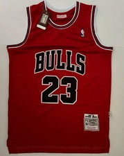 Chicago Bulls NBA Hardwood