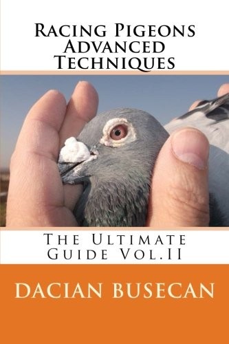 Racing pigeons advanced - pigeons,