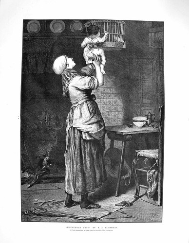 Original old antique print - original,