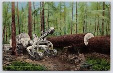 Woodburn Oregon~Hyster Winch