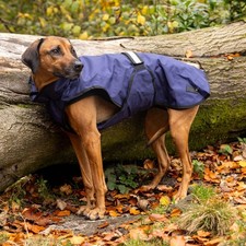 Danish Design 3 in 1 Dog Coat
