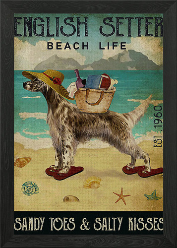 English setter dog framed - framed, wall