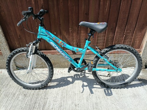 Childs inch mountain bike - 20,