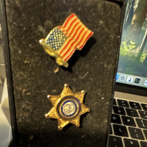 Gwinnett county sheriff pin - county,