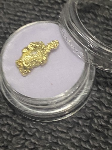 83g raw gold alaskan nuggets - raw,