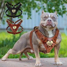 Genuine Leather Dog Harness