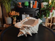 Vintage Large Conch Shell