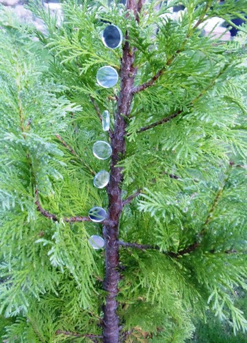 Garden hanging small - garden,