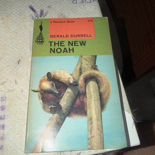The new noah gerald - noah, durrell