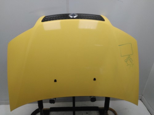Fiat punto bonnet - punto, 2003-2010