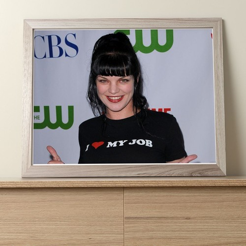Pauley perrette x8 - pauley,