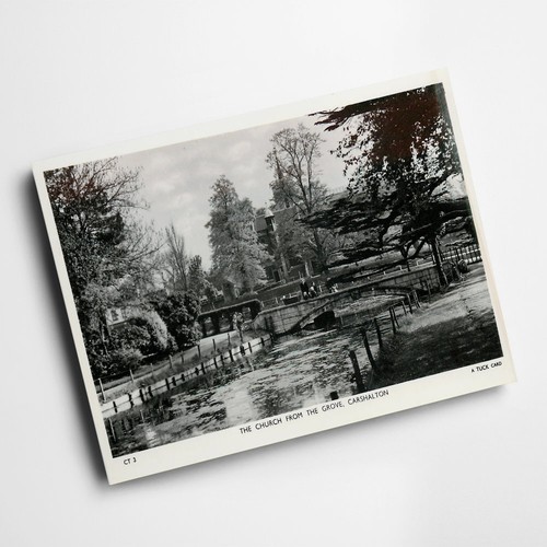 Print vintage surrey - vintage,