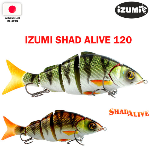 Izumi shad alive 120 29 - izumi, 12