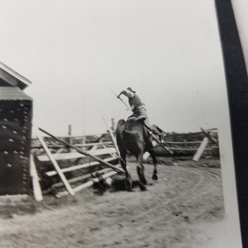 Vintage photo farm horse man - vintage,