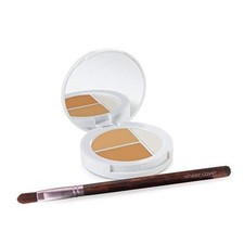 Sheer Cover Studio – Conceal