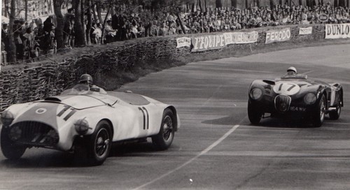 Jaguar type nash healey - c-type,