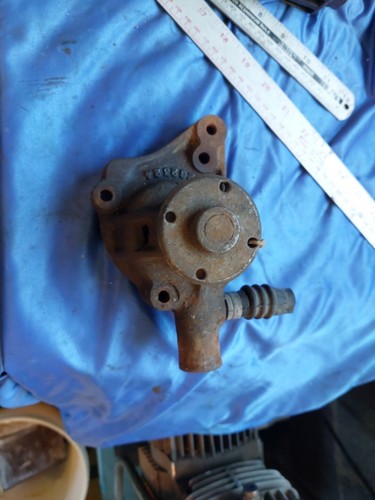 Austin healey frogeye - healey,