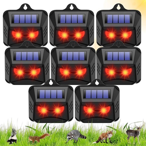 Solar predator eyes animal - solar,