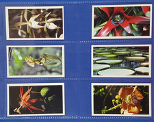 Grandee Cigar Cards DISAPPEARING RAIN FORREST - Full set of 30 in Sleeves