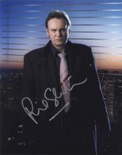 PHILIP GLENISTER as Gene Hunt