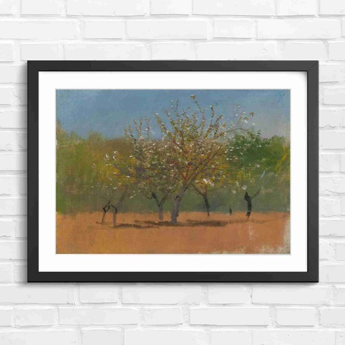 Blooming orchard trees spring - trees,