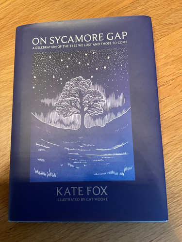 Sycamore gap a celebration - on,