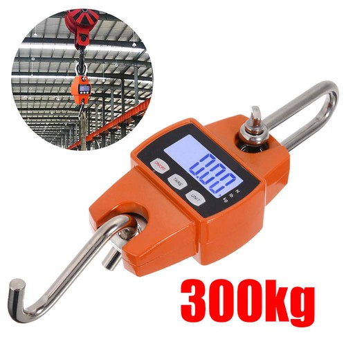 300kg mini crane - mini,