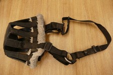 Shires grazing muzzle, pony