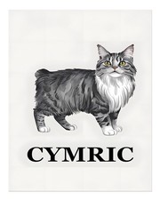 Elegant Cat Wall Art Poster - Cymric Cat Illustration Premium Quality