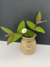 Vintage Pretty Ugly Welsh