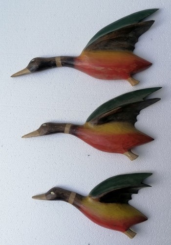 Family flying ducks wooden - of,