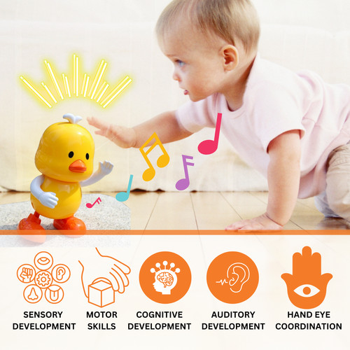 Electric dancing duck toy - duck, with