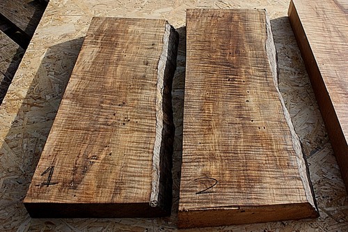 Curly spalted sycamore maple - sycamore,