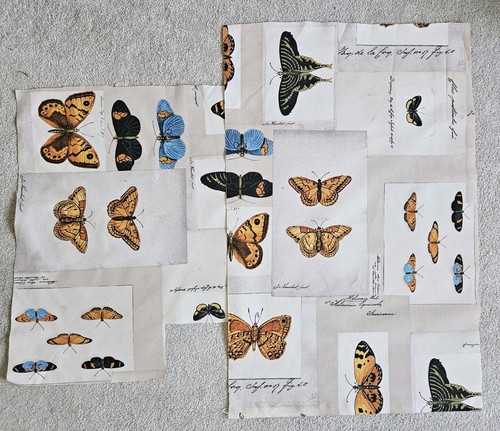 Butterfly fabrric - butterfly,
