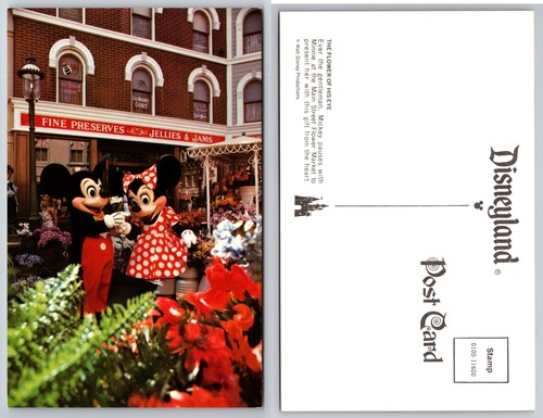 Disneyland mickey minnie - disneyland,